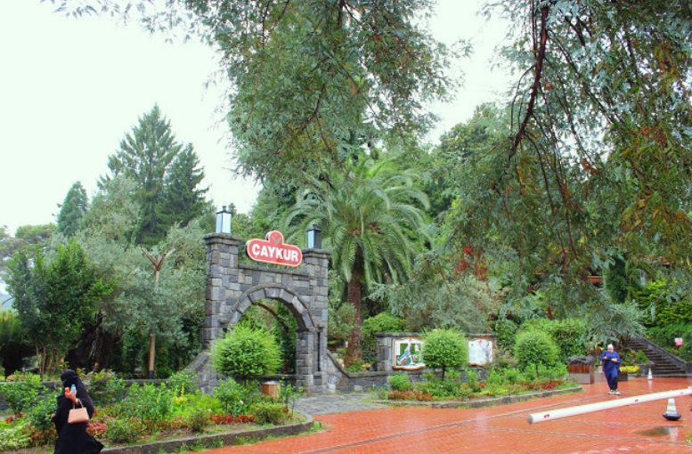Bahçeden bardağa Çay