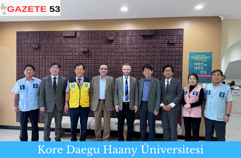 Kore Daegu Haany Üniversitesi