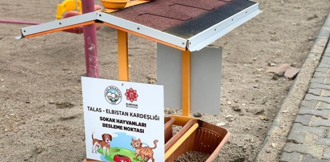 Kayseri Talas deprem bölgesinde can dostları da unutmuyor